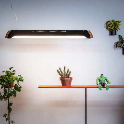 ALFA-Studio-Beam-608166-rel87551c33.jpg